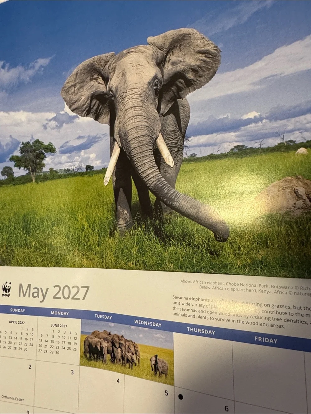 16 month Calendar.  2027